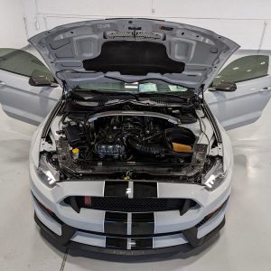 IMG_739201_ (11) 2017 Ford Mustang Shelby GT350