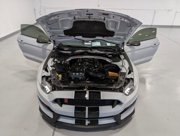 IMG_739201_ (11) 2017 Ford Mustang Shelby GT350