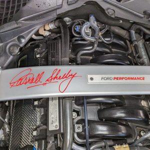 IMG_739201_ (13) 2017 Ford Mustang Shelby GT350
