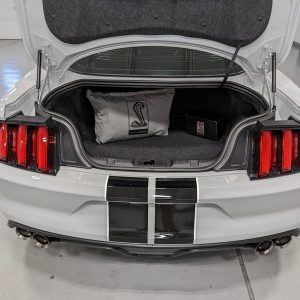 IMG_739201_ (40) 2017 Ford Mustang Shelby GT350