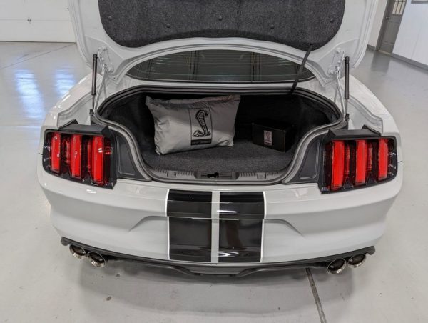IMG_739201_ (40) 2017 Ford Mustang Shelby GT350