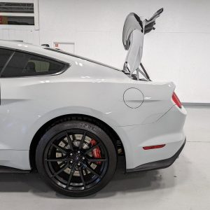 IMG_739201_ (9) 2017 Ford Mustang Shelby GT350