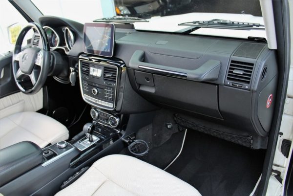IMG_839301_ (24) 2017 Mercedes-Benz G 550