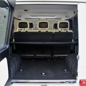 IMG_839301_ (34) 2017 Mercedes-Benz G 550